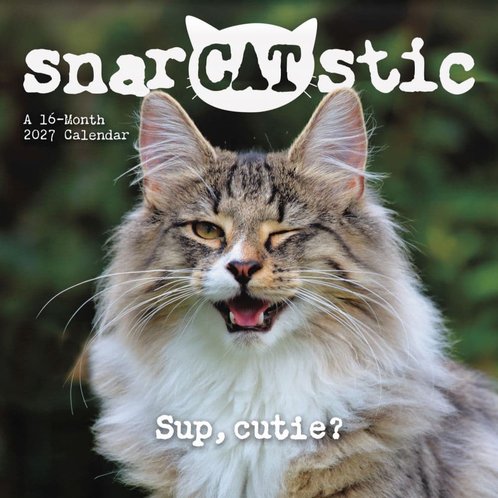 image Snarcatstic 2027 Wall Calendar Main Product Image