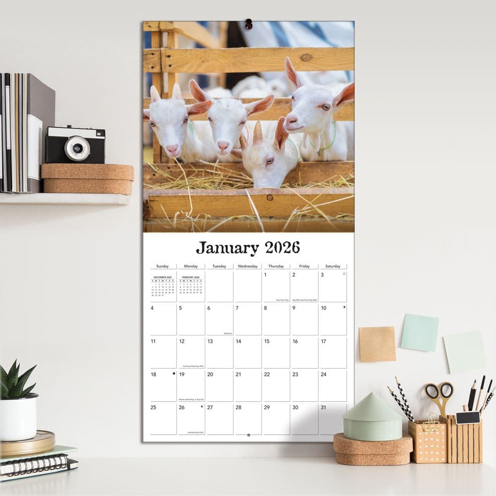 On The Farm 2026 Wall Calendar_ALT4
