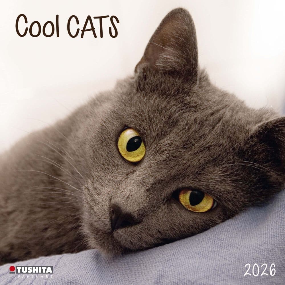 Cool Cats 2026 Wall Calendar Main Image