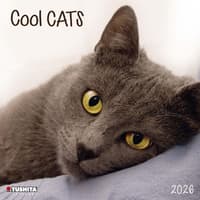image Cool Cats 2026 Wall Calendar Main Image