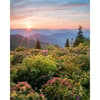 image Sierra Club Wilderness 2025 Wall Calendar First Alternate Image width=&quot;1000&quot; height=&quot;1000&quot;