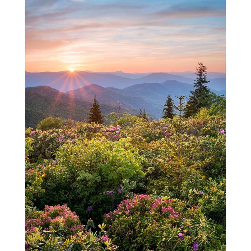 Sierra Club Wilderness 2025 Wall Calendar First Alternate Image width=&quot;1000&quot; height=&quot;1000&quot;