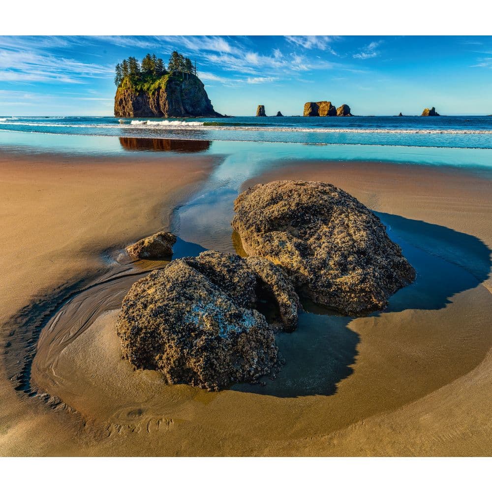 National Parks WWF 2025 Wall Calendar