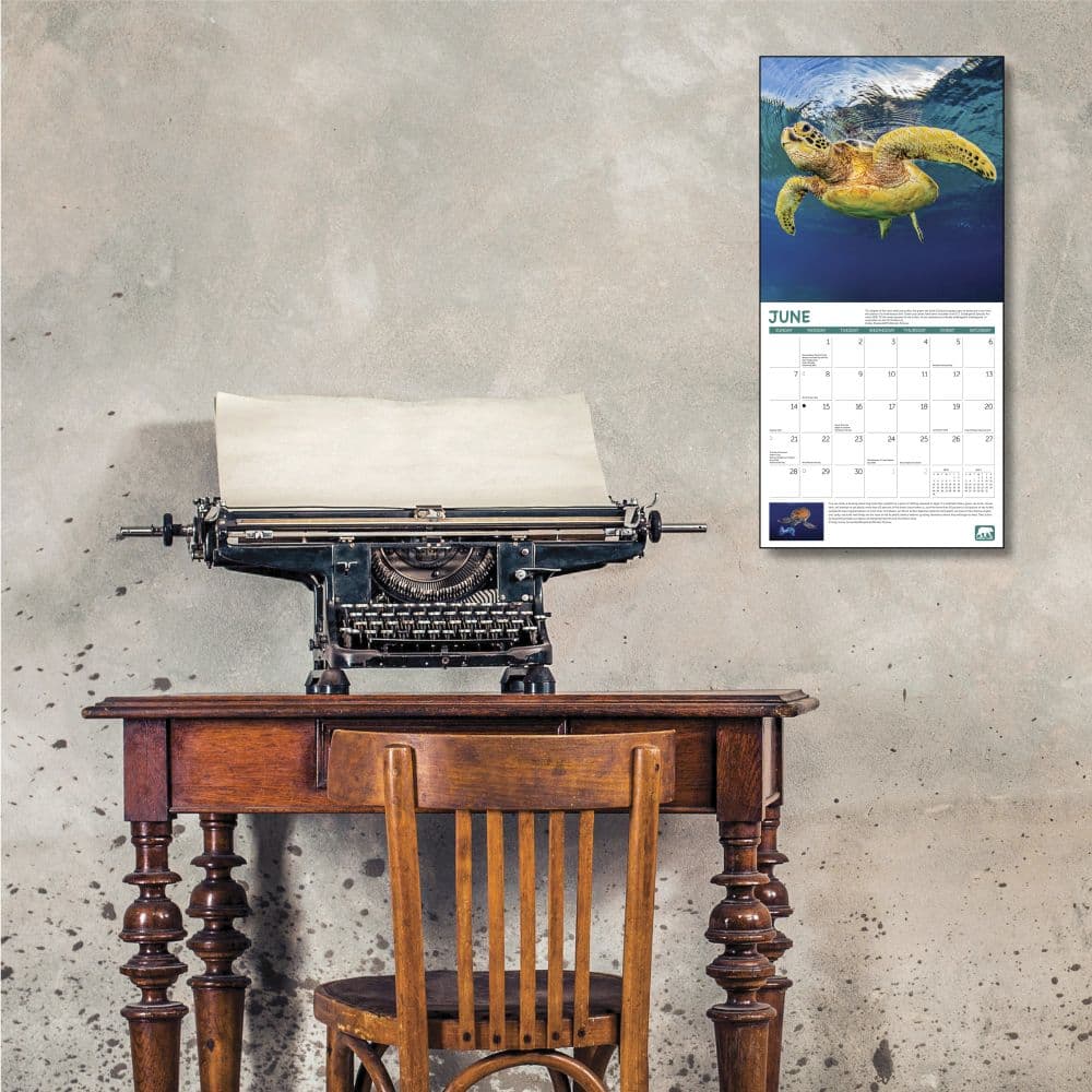 Project Green 2026 Wall Calendar Fourth Alternate image