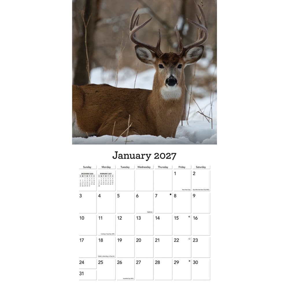 White Tailed Deer 2027 Wall Calendar Third Alternate Image