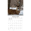 image White Tailed Deer 2027 Wall Calendar Third Alternate Image