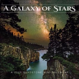 Galaxy Of Stars 2025 Mini Wall Calendar