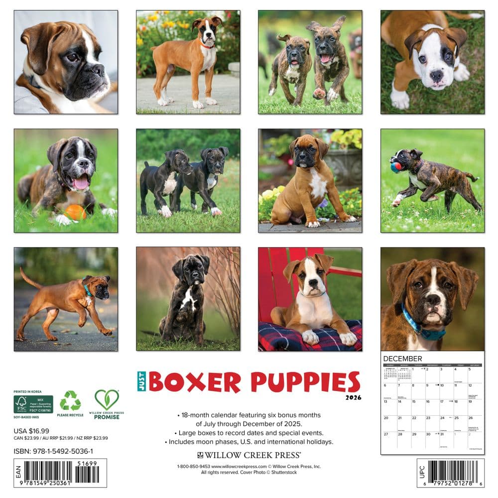 Just Boxer Puppies 2026 Wall Calendar First Alternate Image