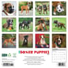 image Just Boxer Puppies 2026 Wall Calendar First Alternate Image