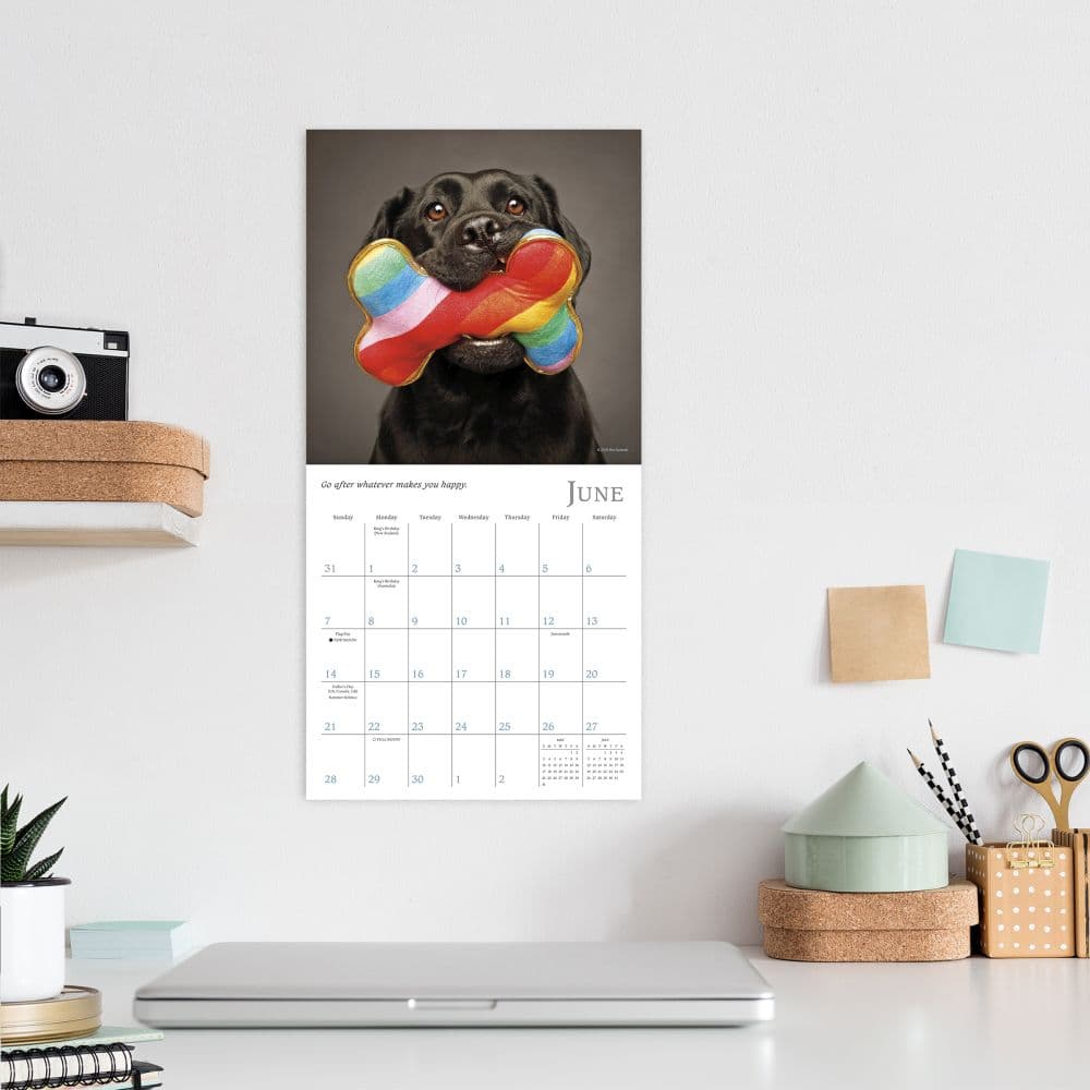 Dogma 2026 Mini Wall Calendar Fourth Alternate Image