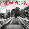 image New York 2025 Mini Wall Calendar _Main Image