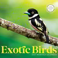 image Exotic Birds 2027 Wall Calendar Main Product Image