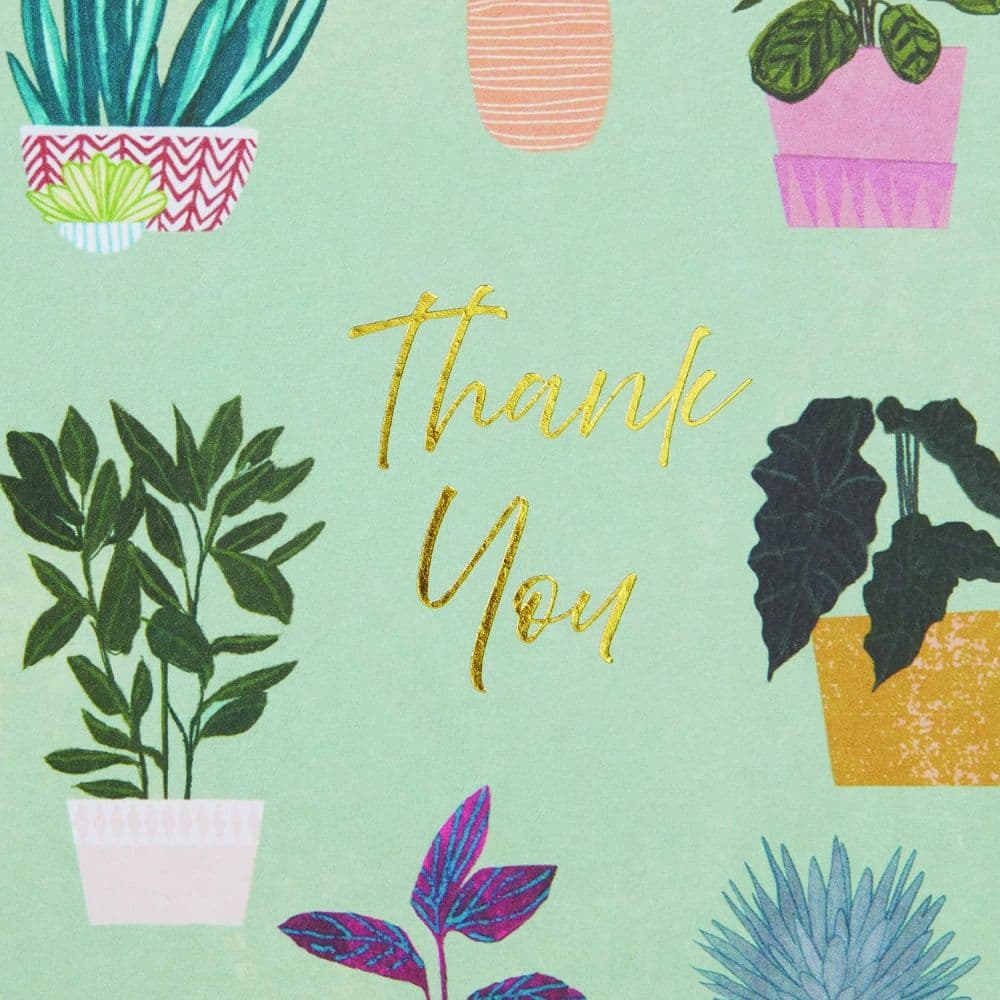 Thank You Houseplants Teal Boxed Note Cards Fifth Alternate Image