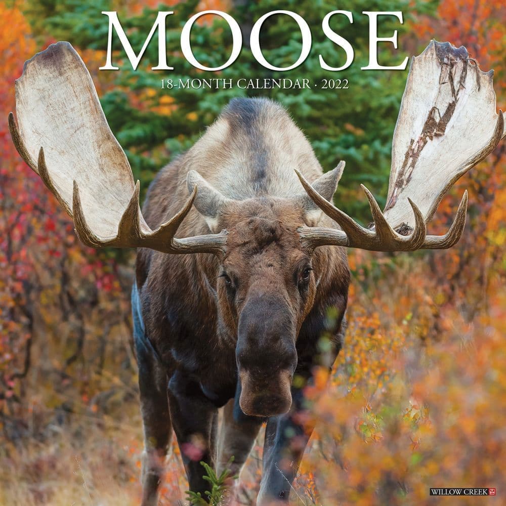 Moose 2022 Wall Calendar