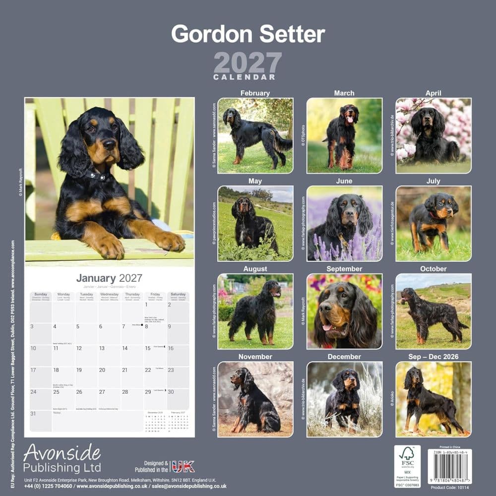 Gordon Setter 2027 Wall Calendar First Alternate Image