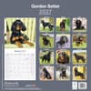 image Gordon Setter 2027 Wall Calendar First Alternate Image