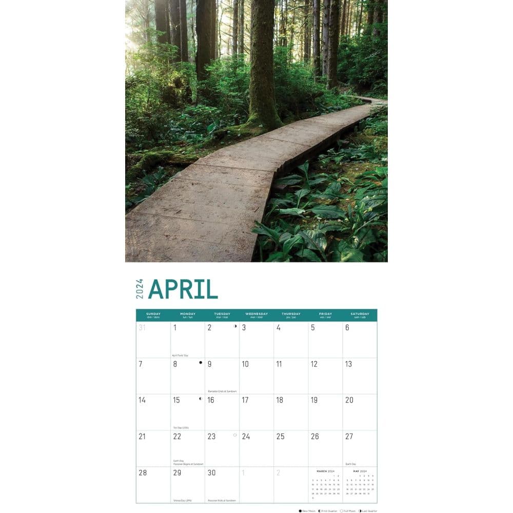 Redwood Forest 2024 Wall Calendar Second Alternate Image width=&quot;1000&quot; height=&quot;1000&quot;