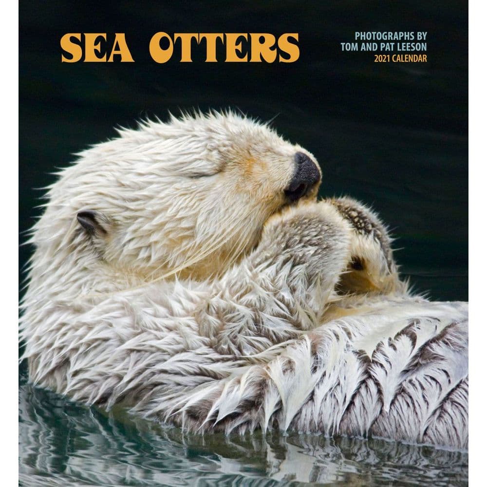 2021 Sea Otters Wall Calendar