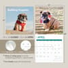 image Bulldog Puppies 2025 Wall Calendar Seventh Alternate Image