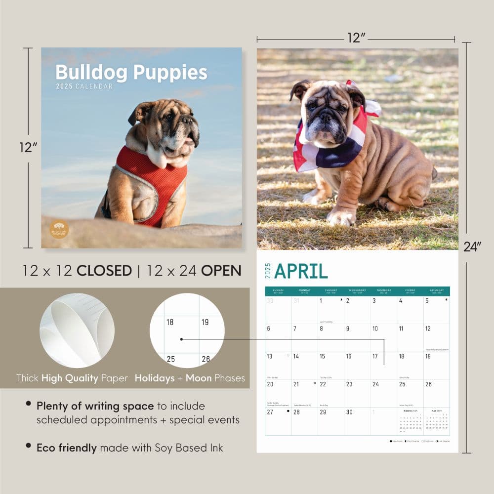 Bulldog Puppies 2025 Wall Calendar Seventh Alternate Image