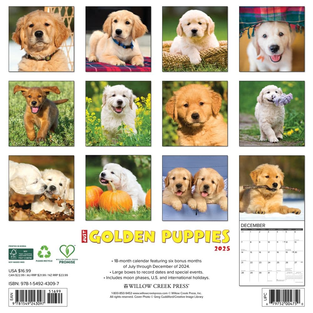 Just Golden Puppies 2025 Wall Calendar First Alternate Image width="1000" height="1000"