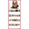 image Puppies 365 Days 2026 Wall Calendar Fifth Alternate Image