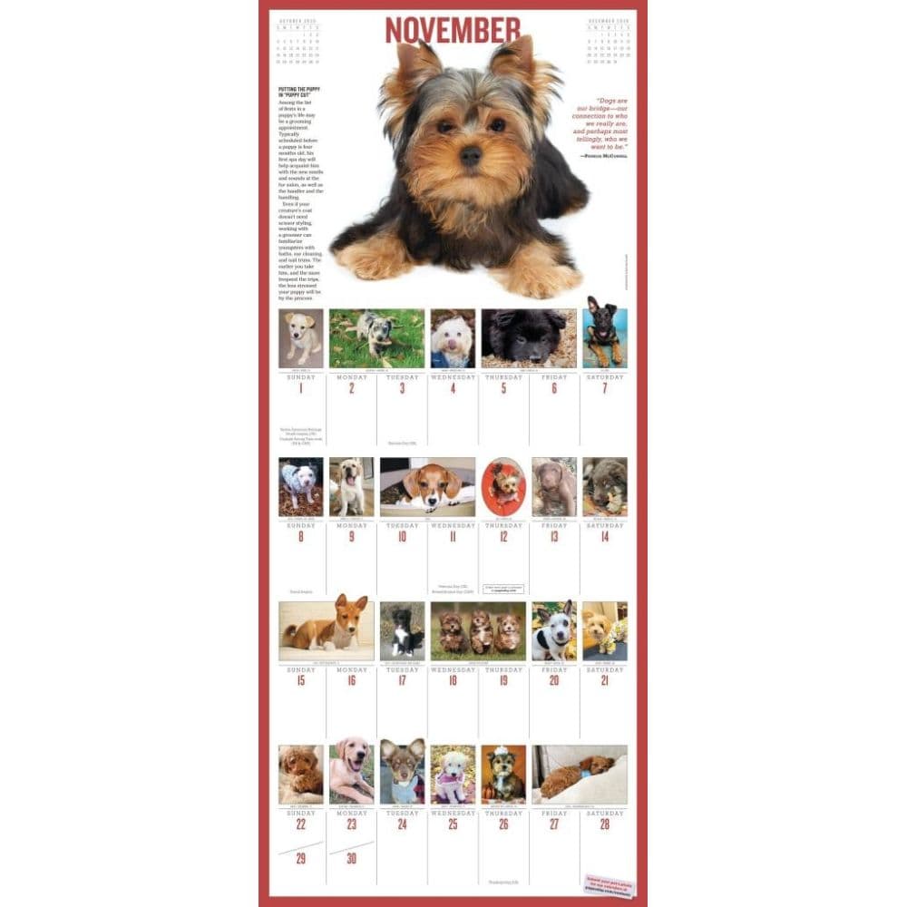 Puppies 365 Days 2026 Wall Calendar Fifth Alternate Image