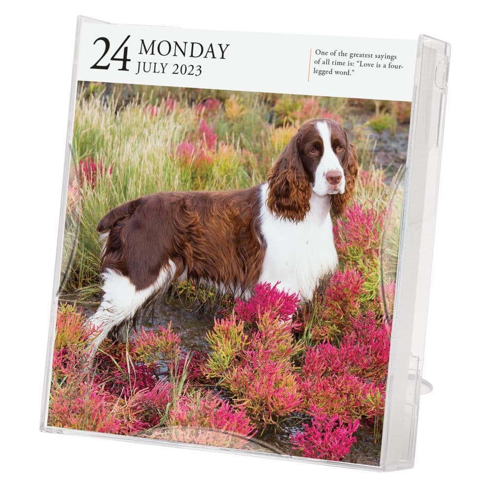 Dog 2023 Page-A-Day Gallery Calendar - Calendars.com