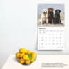 image Lab Retriever Deluxe 2025 Wall Calendar Fourth Alternate Image