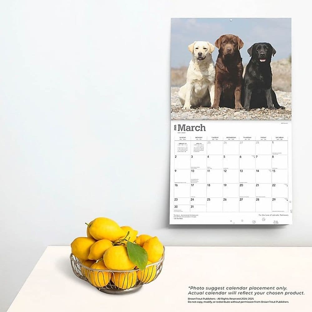 Lab Retriever Deluxe 2025 Wall Calendar Fourth Alternate Image