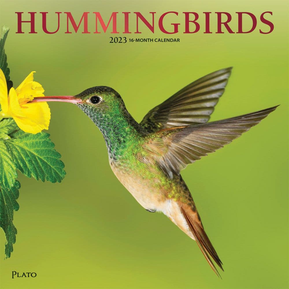BrownTrout Hummingbirds Plato 2023 Wall Calendar