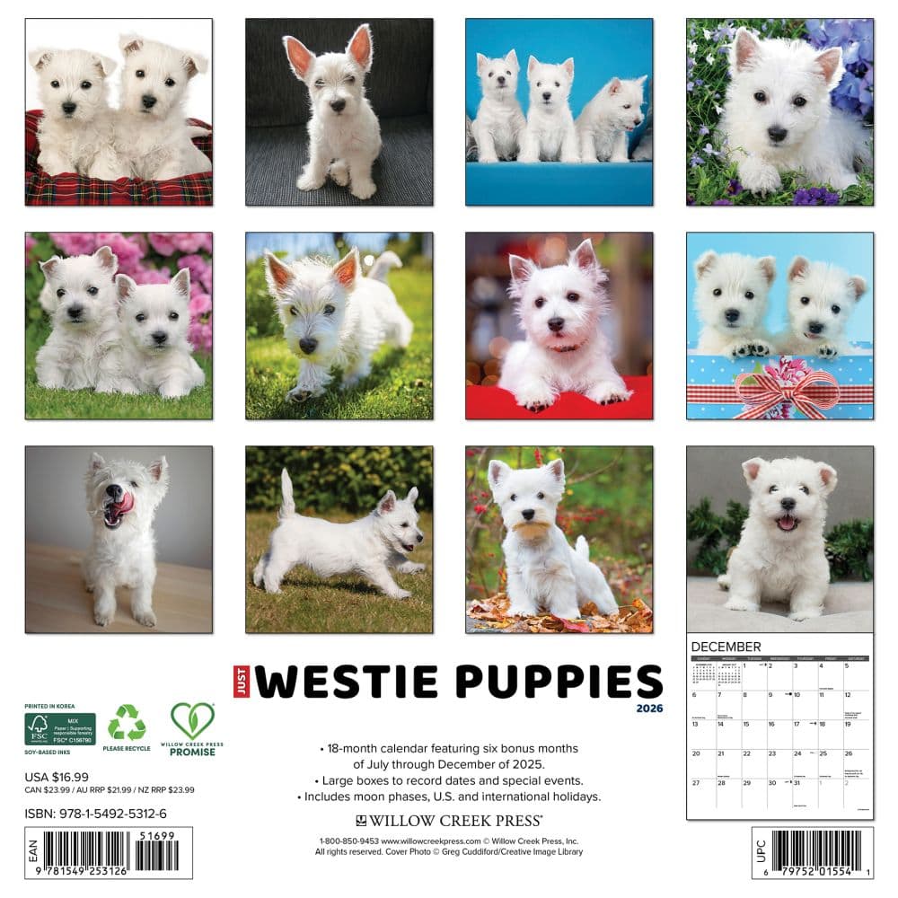 Just Westie Puppies 2026 Wall Calendar, 12'' X 12'', 18-Month Calendar with Stapled Binding