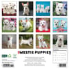 image Just Westie Puppies 2026 Wall Calendar First Alternate Image
