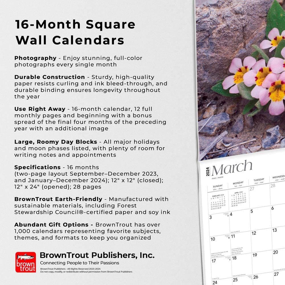 Desert Wildflowers 2024 Wall Calendar Fourth Alternate Image width=&quot;1000&quot; height=&quot;1000&quot;