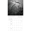 image Zen of Nature 2026 Wall Calendar Third Alternate image