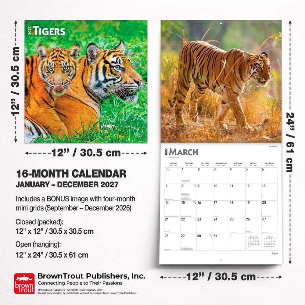 Tigers 2027 Wall Calendar Sixth Alternate Image