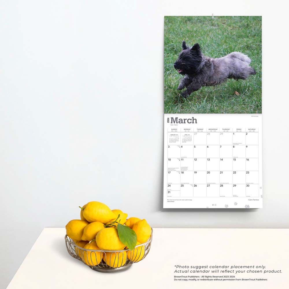 Cairn Terriers 2024 Wall Calendar Third Alternate Image width=&quot;1000&quot; height=&quot;1000&quot;