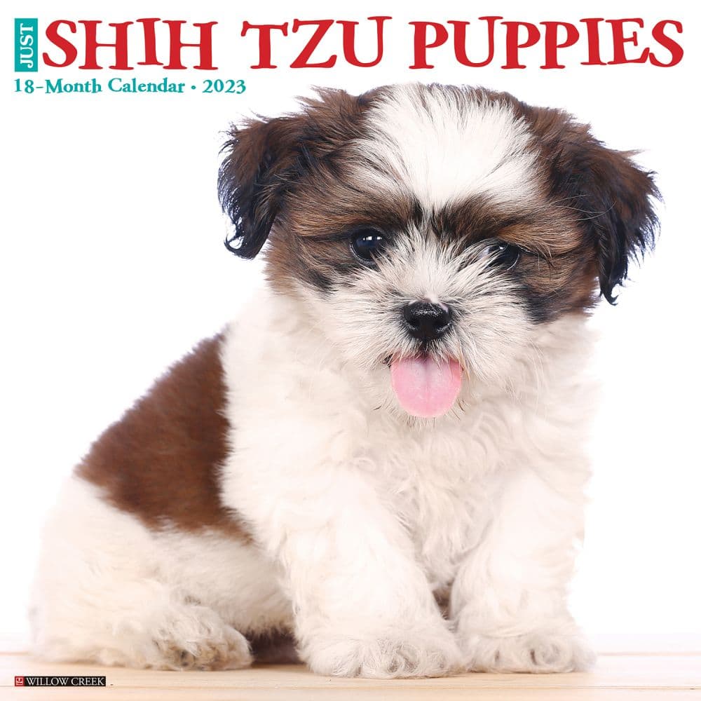 Shih Tzu Puppies 2023 Wall Calendar Calendars