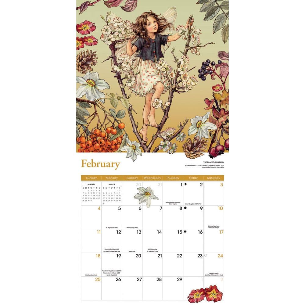 Flower Fairies 2024 Wall Calendar