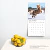 image Magnificent Horses 18 Month 2024 Wall Calendar Alternate Image 3