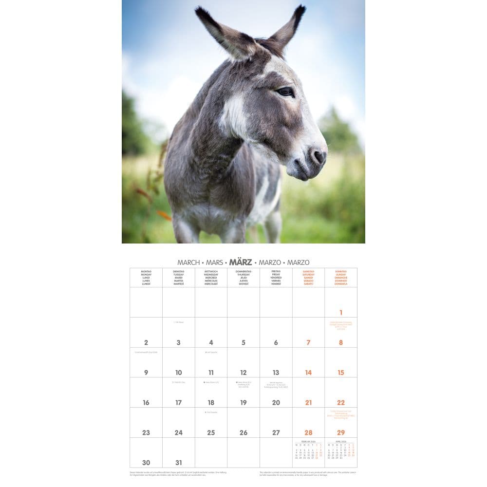 Donkeys 2026 Wall Calendar Second Alternate Image
