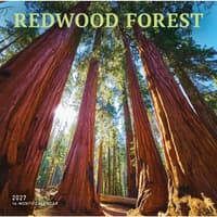 image Redwood Forest 2027 Wall Calendar Main Product Image
