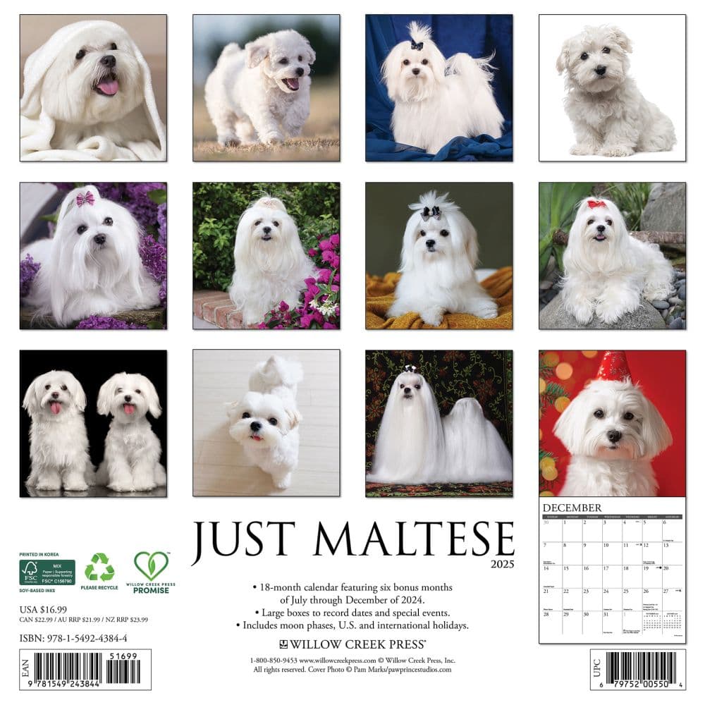 Just Maltese 2025 Wall Calendar