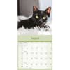 image Black Cats 2026 Wall Calendar Fourth Alternate Image