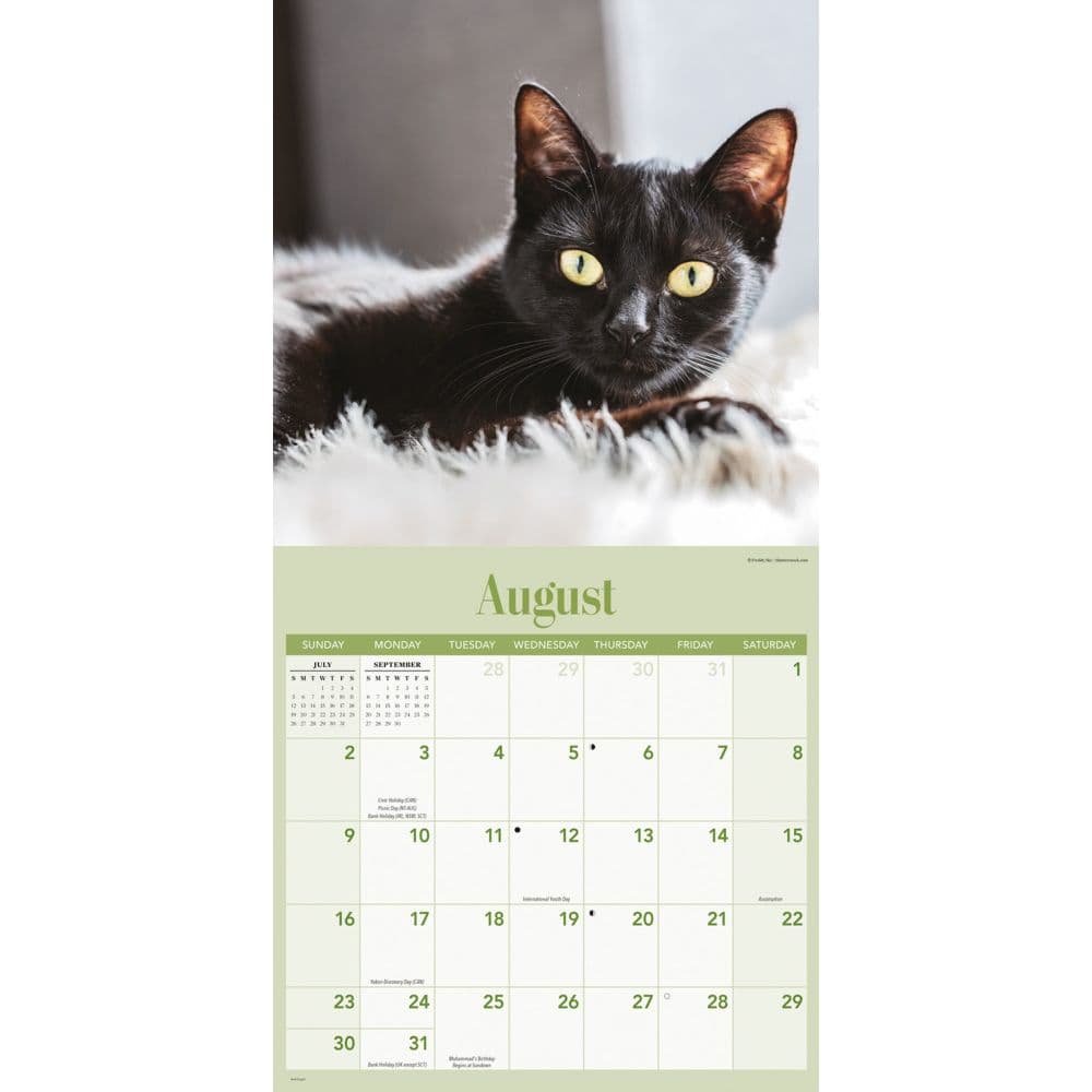 Black Cats 2026 Wall Calendar Fourth Alternate Image