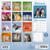 image Kittens Curious 2025 Wall Calendar First Alternate Image width=&quot;1000&quot; height=&quot;1000&quot;