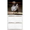 image Fancy Chickens Photo 2026 Wall Calendar