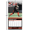 image NFL Cincinnati Bengals 2027 Wall Calendar Fourth Alternate image