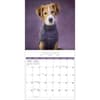 image Rachael Hale Loveable Dogs 2026 Wall Calendar Third Alternate Image