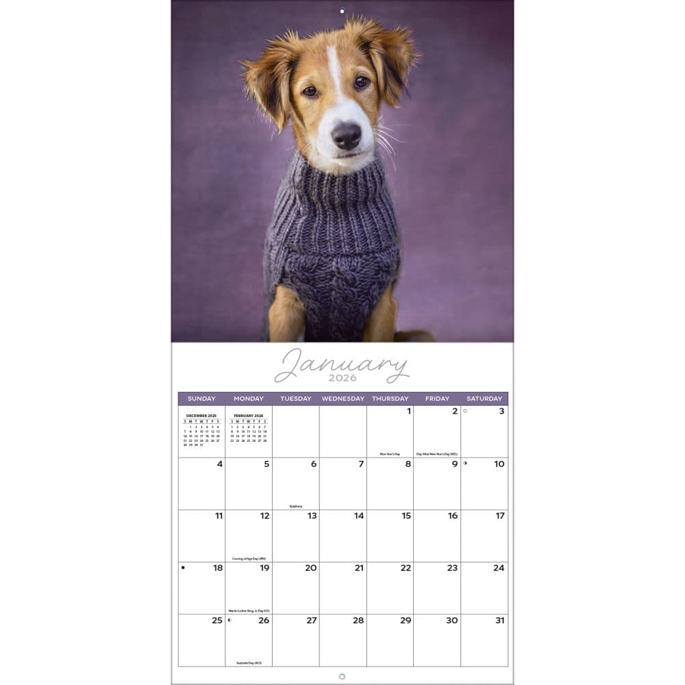 Rachael Hale Loveable Dogs 2026 Wall Calendar Third Alternate Image